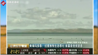 <em>青海省</em>瑪多縣過度放牧破壞<em>生態</em>平衡