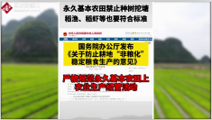 永久性基田：強農興農戰略