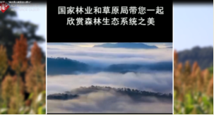 習近平：“<em>綠水青山</em><em>就是</em><em>金山</em><em>銀山</em>”