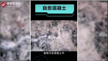荷蘭生物學家發明出<em>可</em>自愈<em>混凝土</em>，提高了<em>混凝土</em><em>的</em>使用壽命