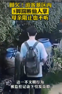 連踹5<em>腳</em><em>踢</em>斷景區(qū)仙人掌！男子引發(fā)眾怒