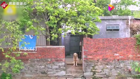 廣東一鄉村公廁獲世界景觀建筑獎：用舊磚瓦重建而成，這不只是一個廁所[并不簡單]