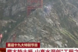 藏木特大橋，山高水深創“工<em>程之</em>最”