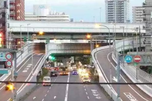 阪神高速<em>公路</em>—日本