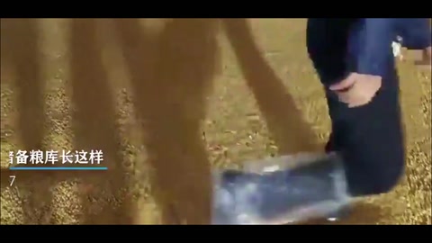 探秘“大國糧倉”！原來中央儲備糧庫長這樣