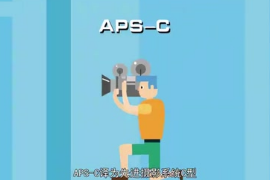 APS-C：<em>一種</em>數碼<em>相機</em>所使用<em>的</em>圖像傳感器<em>的</em>規格