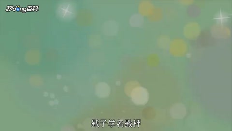 動畫——戥子