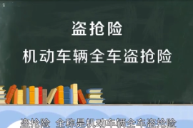 機動車輛全車盜搶險