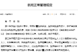 航班正常管理<em>規(guī)定</em>