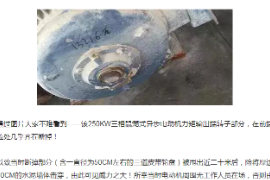 <em>三相</em>鼠籠式<em>電機</em><em>的</em>起動事故
