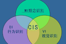 <em>CIS</em>企業識別系統