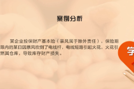 《近因原則—暴風責任》近因判斷