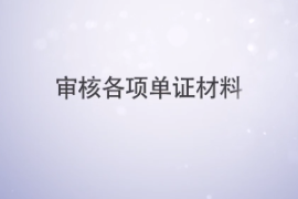 <em>審核</em>各項單證材料—<em>審核</em>的單證材料