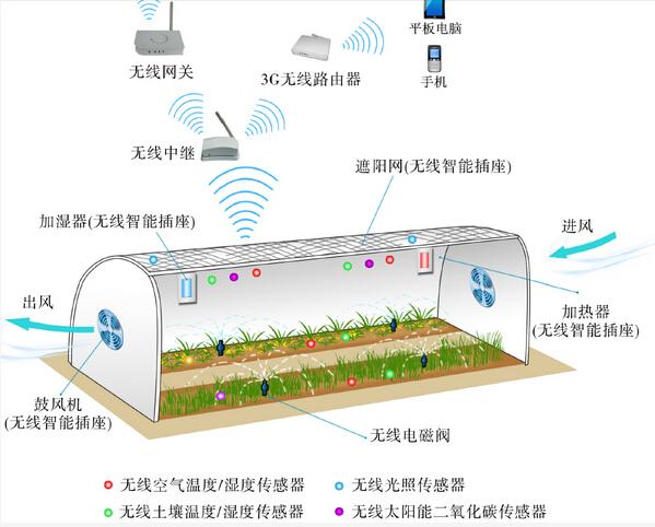 安徽省合肥市長豐縣引進<em>智慧</em>物聯網系統助力草莓產業園