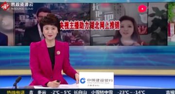 央視主播助力湖北網上推銷，一起“為湖北胖三斤”