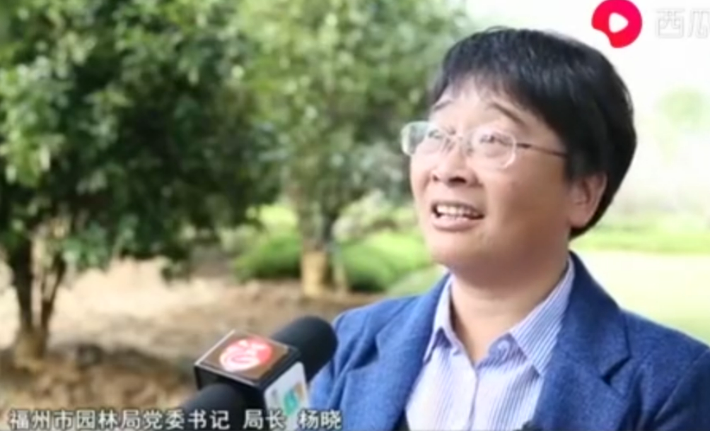 福州市園林局局長楊<em>曉</em>：小步積大綠 呵護滿城綠蔭