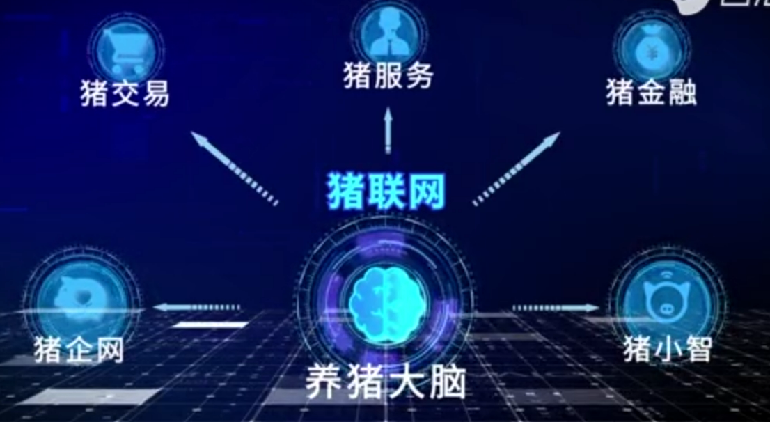 農信互聯豬聯網 開創數字化時代的智慧養豬新模式