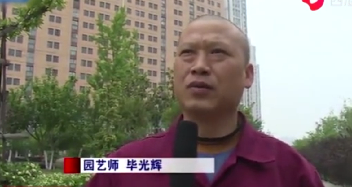 46歲園藝師畢光輝自學“剪刀手” 給綠植修剪<em>造型</em>