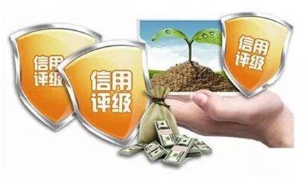 企業(yè)<em>信用</em>評級