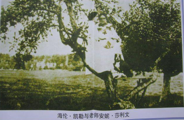 安妮沙<em>利</em>文和海倫.<em>凱</em>勒