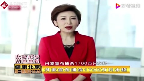 丹麥宣布捕殺1700萬只水貂，因水貂養(yǎng)殖場出現(xiàn)變異新冠病毒！