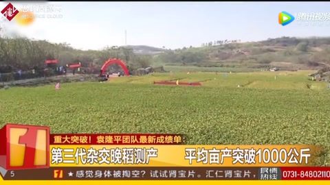 袁隆平團隊：第三代<em>雜交</em>晚稻測產 平均畝產突破1000公斤