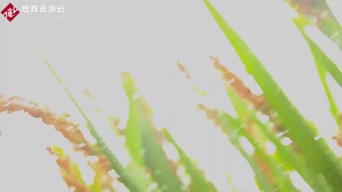 釀酒——中國<em>的</em>傳統