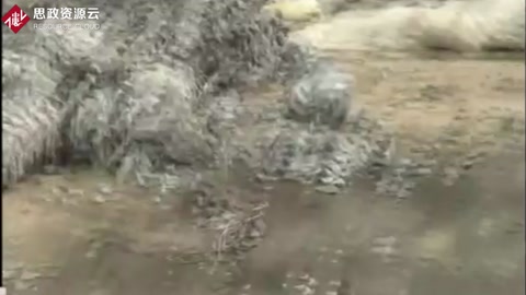 記者揭露碎皮革變藥用<em>膠囊</em>加工過程