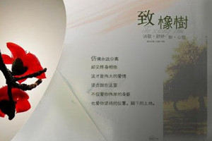 《致橡樹》：舒婷創作的當代詩歌