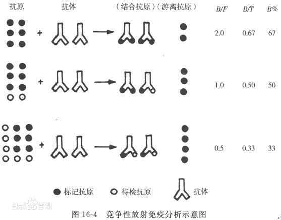 放射免疫<em>分析</em>法概述