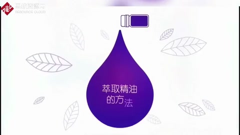 萃取精油的方法<em>有</em>哪些呢？<em>你</em>不一定<em>知道</em>！