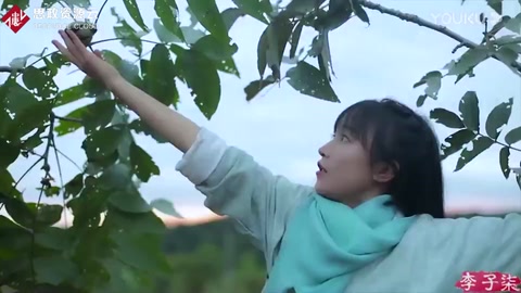 <em>李子</em><em>柒</em>：并非一夜成名，背后的努力付出是一般人想象不到的