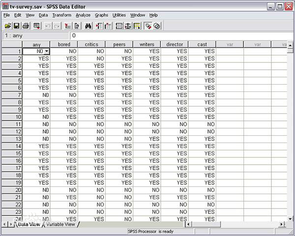 了解什么是spss