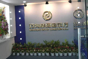 萬向集團公司發展歷程
