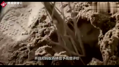 馬云的<em>支付</em>寶，推出螞蟻森林2年，投資2億，你種的樹(shù)多大<em>了</em>？