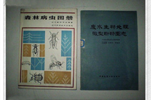 廢水生物處理微型動物圖志