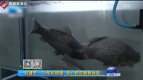 桂建芳：30年科研路 潛心研究鯽魚改良
