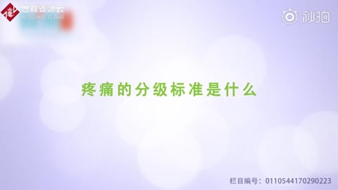 疼痛的分級標準