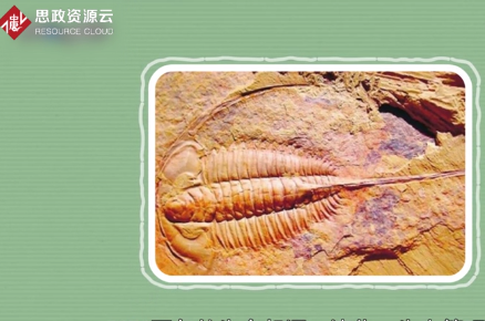 原來(lái)澄江生物<em>群</em>長(zhǎng)這樣