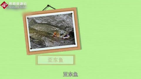 一分鐘了解亞東魚