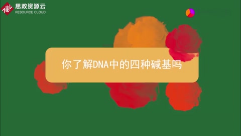 <em>你</em><em>了解</em>DNA中<em>的</em>四種堿基<em>嗎</em>