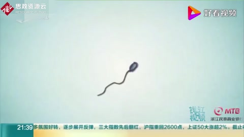 中國科學(xué)家培育出世界首只雙父來源小鼠