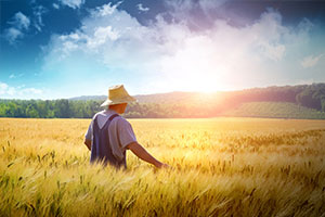 水產類專業：生物多樣性—《人與自然和諧共生的哲學闡釋》課程思政案例