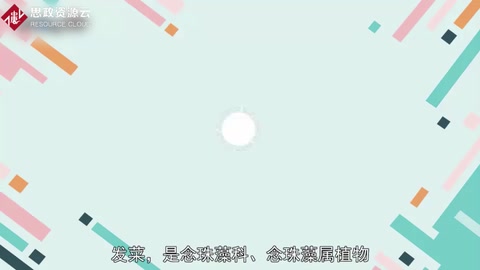 帶你了解“旃”——發菜