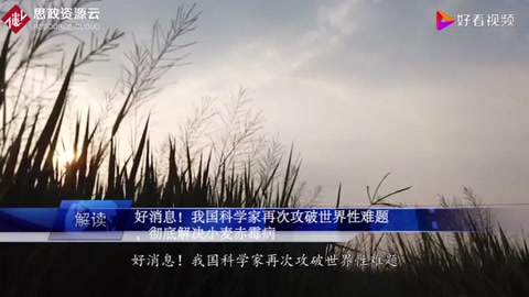 好消息！我國科學攻克世界性難題，徹底解決小麥赤霉病