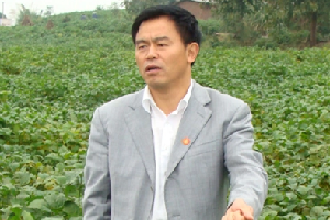 楊文鈺教授——率領(lǐng)團隊研發(fā)的玉米、大豆間作新農(nóng)藝被寫進了2020年中央1號文件