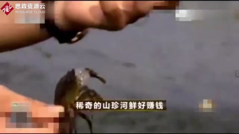 90后大學生回農村零基礎養殖<em>螃蟹</em>