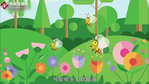 蜜蜂<em>為什么</em><em>要</em>跳舞