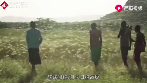 3600億只蝗蟲肆虐！