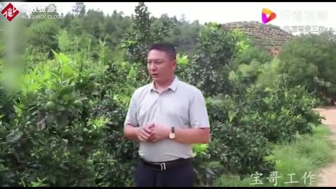 柑橘黃龍<em>病</em>